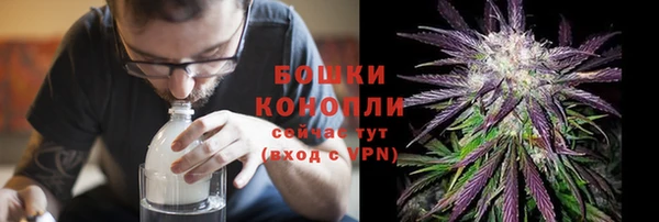 дурь Белокуриха