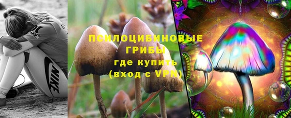соль ск Балабаново